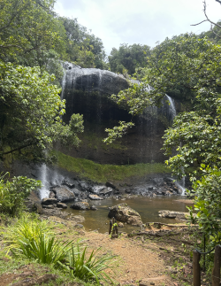 Screenshot 2026-04-14 at 9.54.23 pm.png Screenshot 2026-04-14 at 9.54.23 pm.png