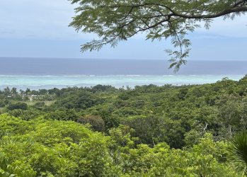 Screenshot 2026-04-14 at 9.55.49 pm.png Screenshot 2026-04-14 at 9.55.49 pm.png