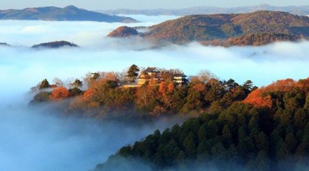 Screenshot 2026-04-30 193253.jpg