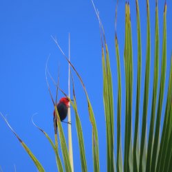 IMG_6770.JPG