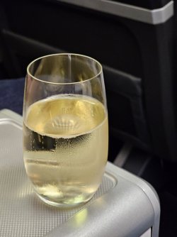 20260424_173155.jpg