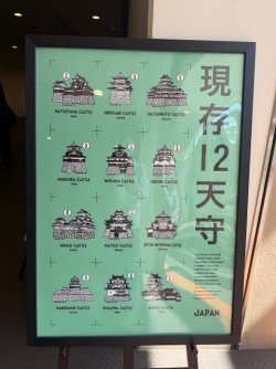 IMG_2567.jpeg