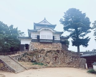 IMG_1998.jpeg