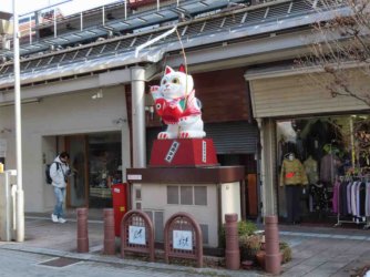jpeg-optimizer_IMG_1471.JPG