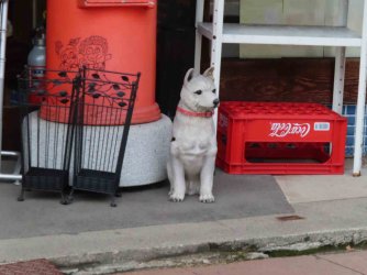 jpeg-optimizer_IMG_1568.JPG