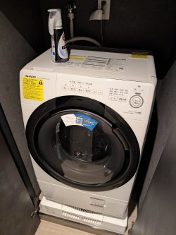 PXL_20260501_052942628.jpg