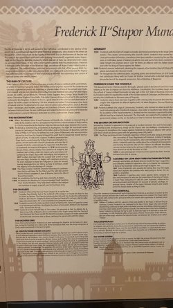 IMG_5781.JPEG