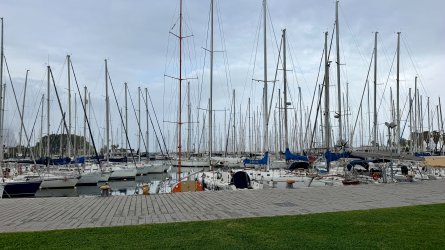 IMG_5836.JPEG