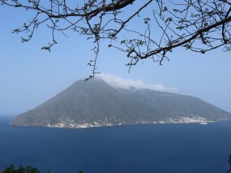 IMG_1365.JPG