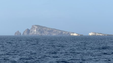 IMG_5975.JPEG
