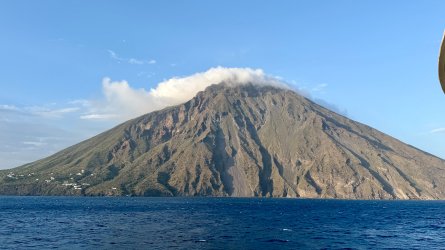 IMG_5996.JPEG