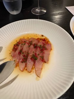 IMG_5842.jpeg