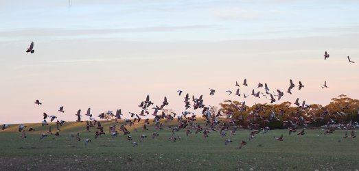 026A6352.jpeg