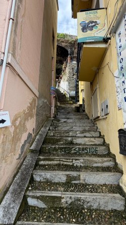 IMG_6144.JPEG