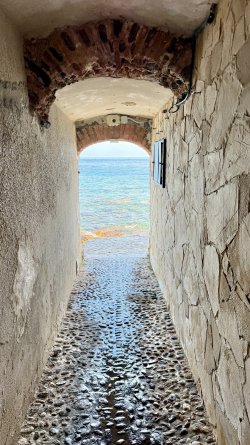 IMG_6167.JPEG