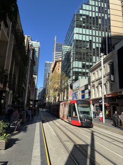 IMG_0755.jpeg