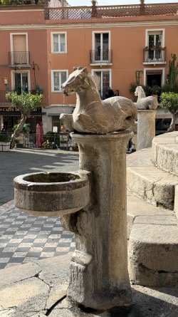 IMG_6276.JPEG