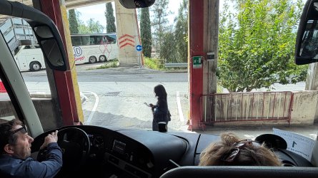 IMG_6382.JPEG