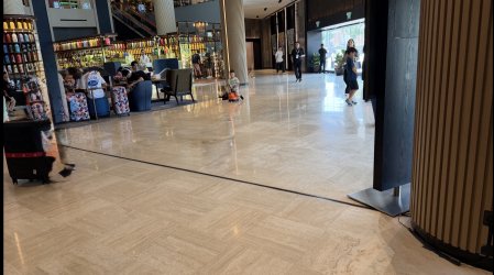 IMG_7382.jpeg