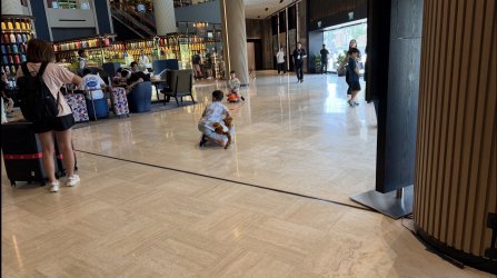 IMG_7380.jpeg