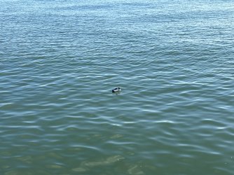 IMG_8183.jpeg