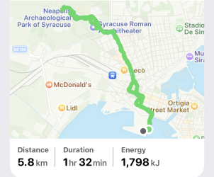 Afternoon walk.PNG