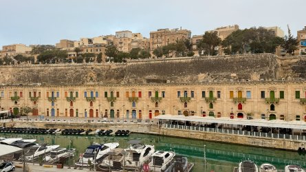 IMG_6709.JPEG