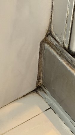 IMG_6772.JPEG