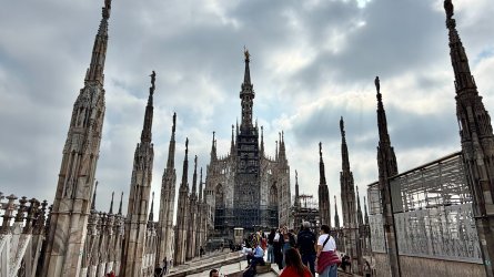 IMG_6815.JPEG