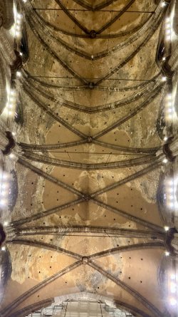IMG_6834.JPEG