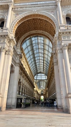 IMG_6784.JPEG