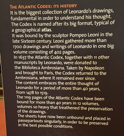 IMG_6983.JPEG