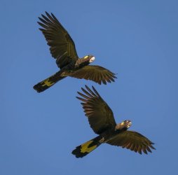 IMG_20260512_184110.jpg