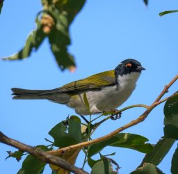 IMG_20260512_184028.jpg