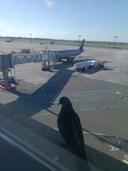 IMG_20260512_171846619.jpg