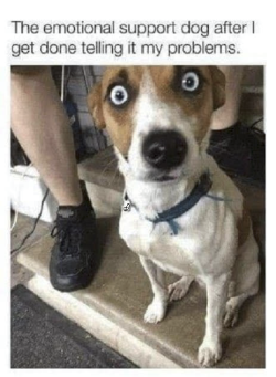 1778649684668.png