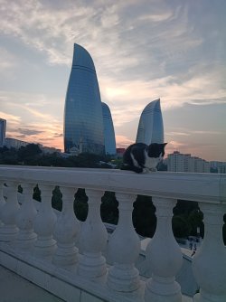 IMG_20260513_193636200.jpg