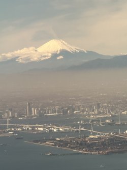 IMG_1919.jpeg