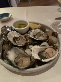 IMG_6857.jpeg IMG_6857.jpeg