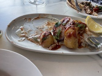 IMG_8542.jpeg IMG_8542.jpeg
