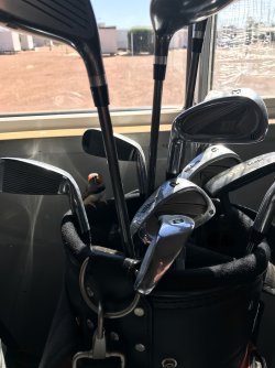 birdie.JPG