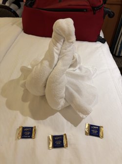 IMG_3176.JPG