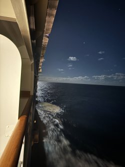 IMG_3184.JPG