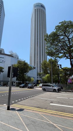 IMG_7235.JPEG
