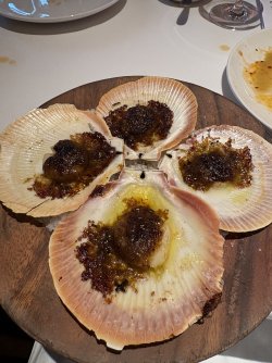 IMG_5913.jpeg