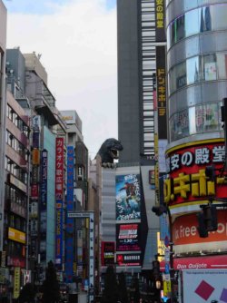 jpeg-optimizer_IMG_2208.JPG