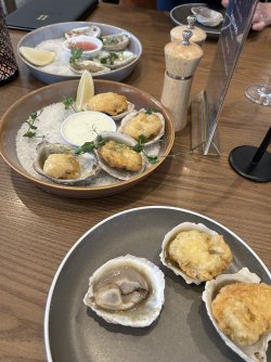 IMG_7800.jpeg