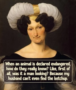 1779563111667.png