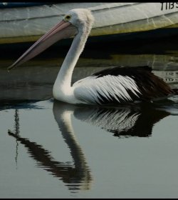 IMG_20260524_165550.jpg