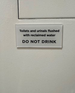 IMG_5313.jpeg